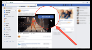 private facebook video download online